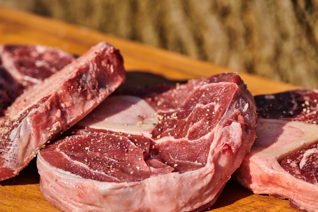 鹿肉ドッグフードおすすめと選び方|低脂質で安心